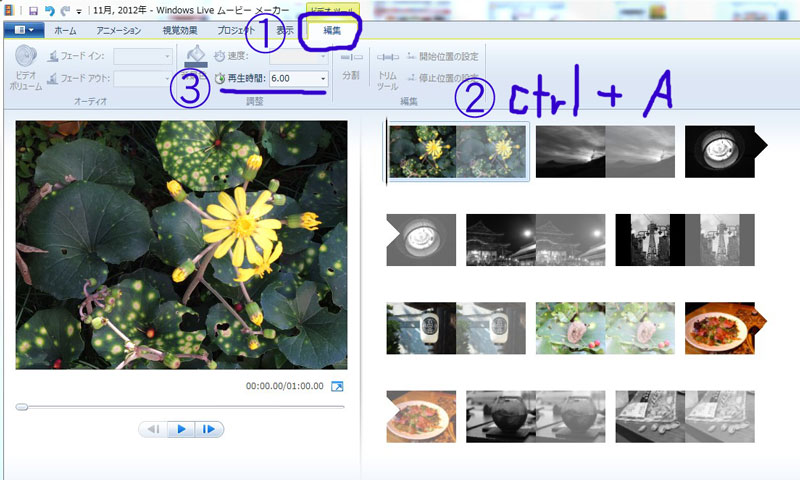 20a13y08m03d_184413582