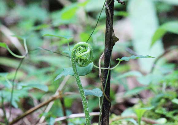 d1d469bae5844e47f20212343b5657ba_m